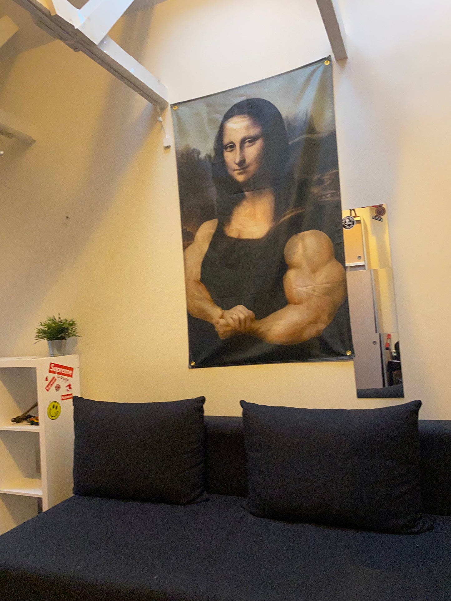 Mona Lisa Træner