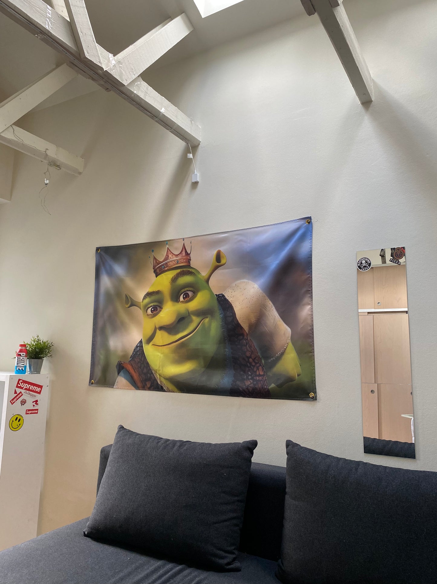 Shrek Flag